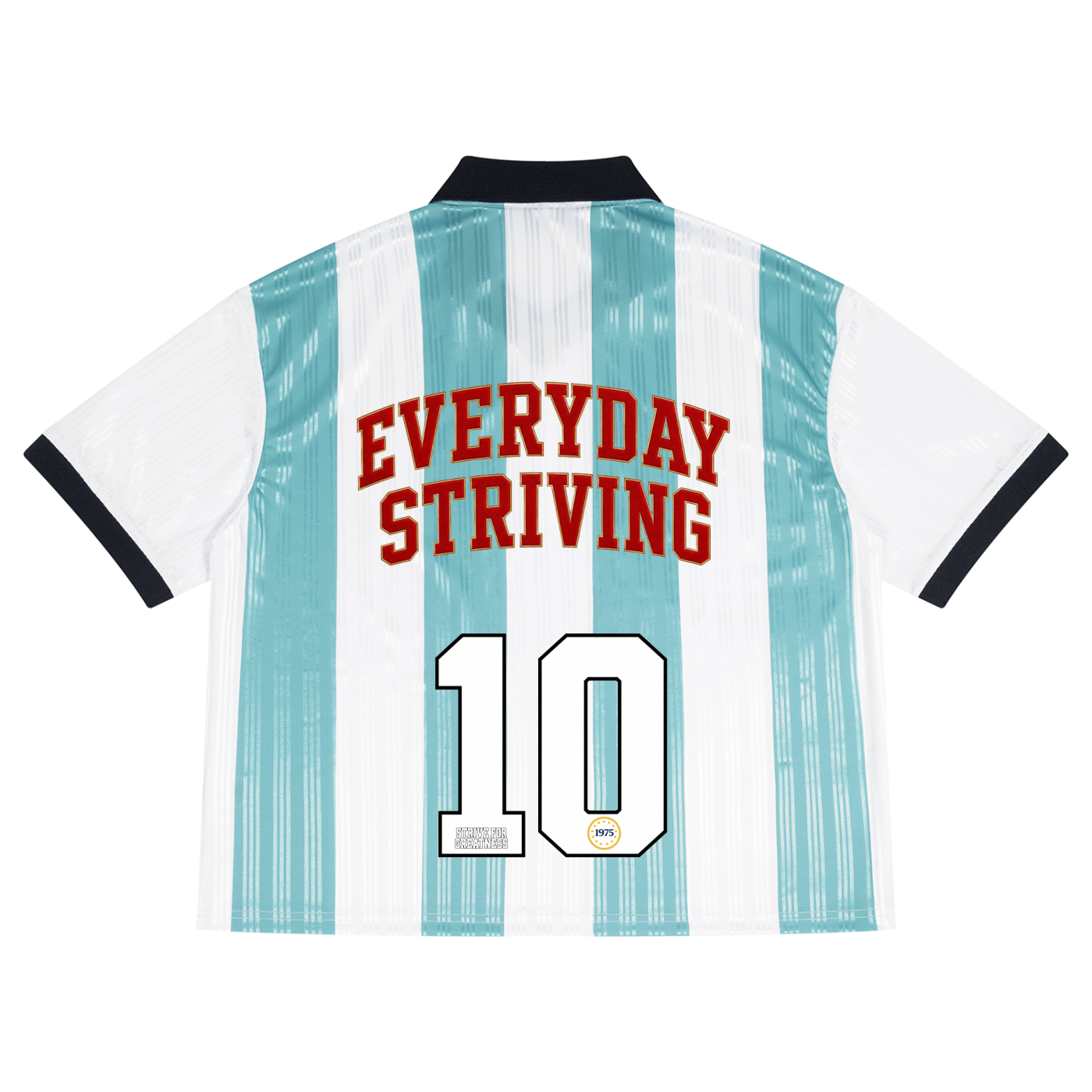 Everyday Striving Heritage Striped Jersey