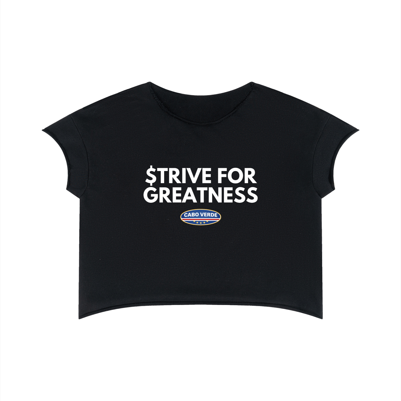 Everyday Striving Raw Edge Heavyweight Boxy Tee