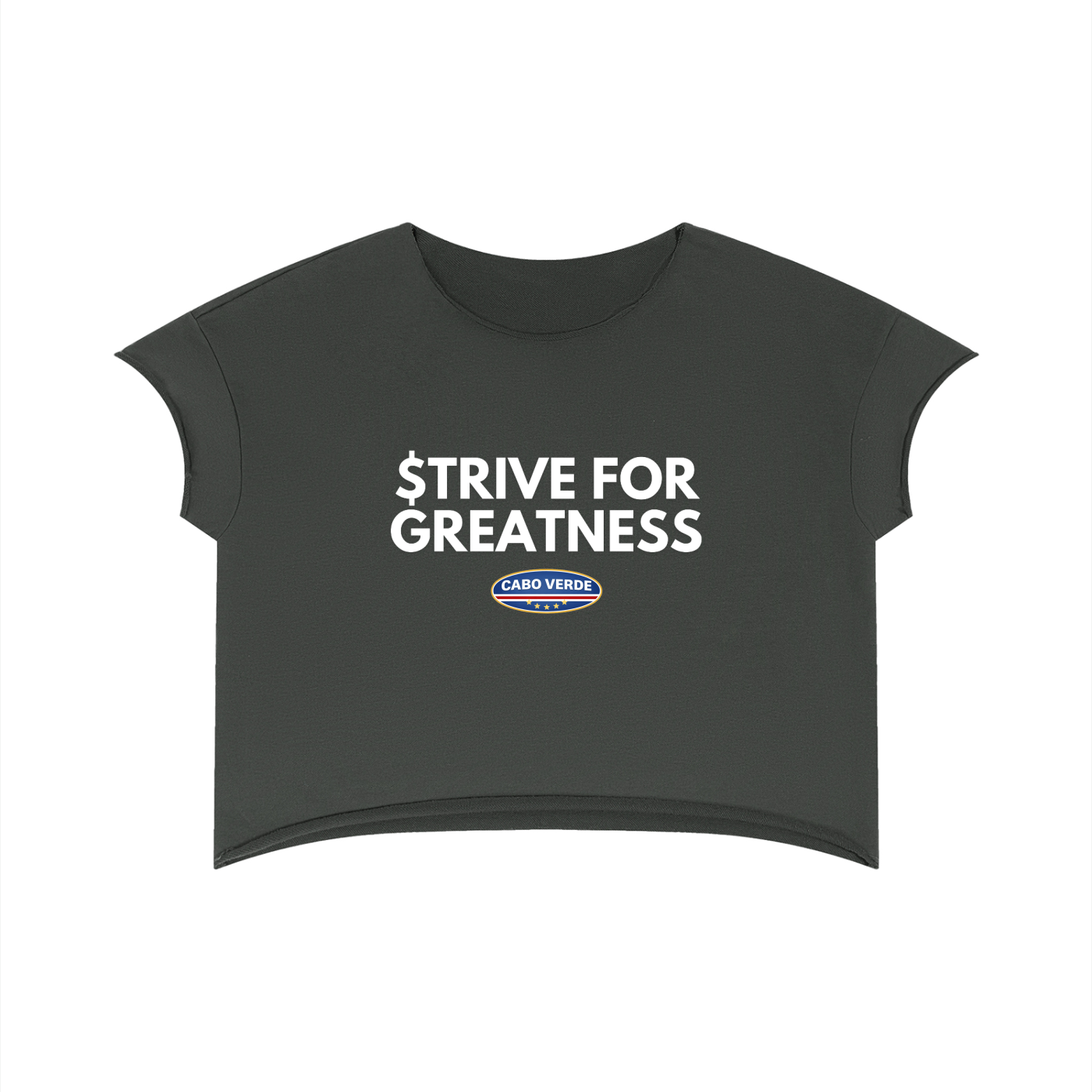 Everyday Striving Raw Edge Heavyweight Boxy Tee